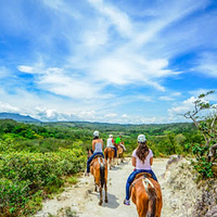 Vida Aventura Nature Park