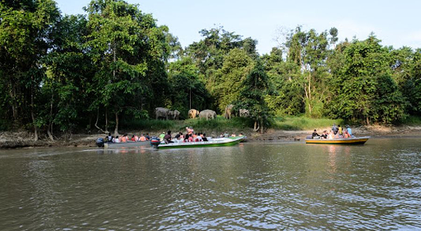Kinabatangan Wildlife Sanctuary