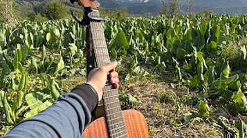 Skameyki V Berozovoy Roshche