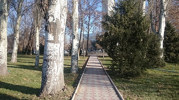 Park Im. I. Panfilova