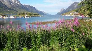 Ersfjordbotn Kystferie