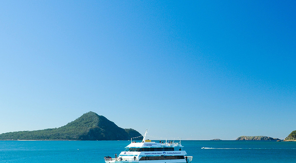 月影号出海观海豚游船