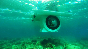 国际领导俱乐部