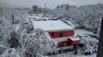 Тренажерный Зал Viola