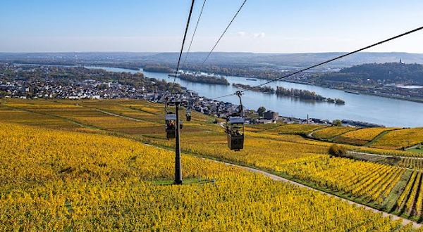 Rüdesheimer Seilbahn Bergstation Niederwald