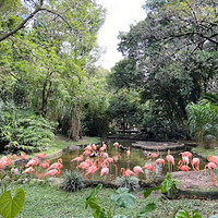 Parque de la Conservación
