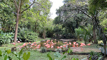 Parque de la Conservación