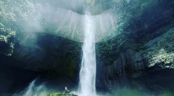 Cinchona Waterfall Trails