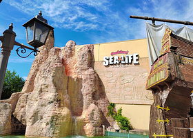 加达云霄乐园海洋生物水族馆