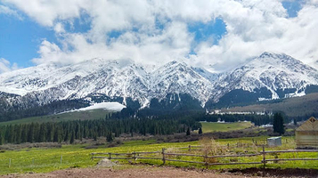 Shamshy Nature Reserve