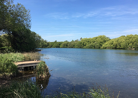 Anton Lakes Local Nature Reserve