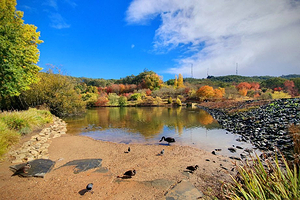 洛夫蒂山植物园