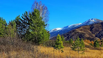 Ridder. V Sosnovom Boru