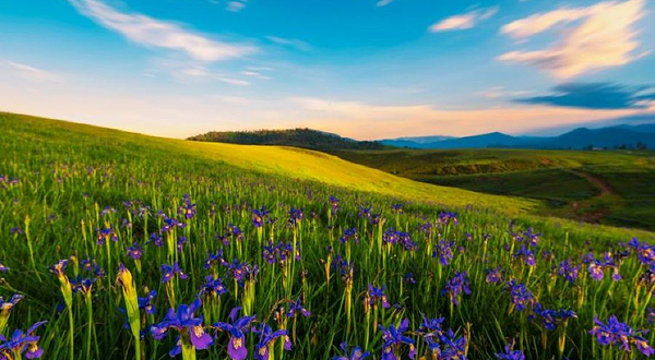 丽江格拉丹景区