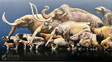 哥伦布前黄金博物馆