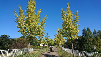 Odaka Ryokuchi Greens