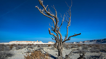 Bozzhyra View Point 1