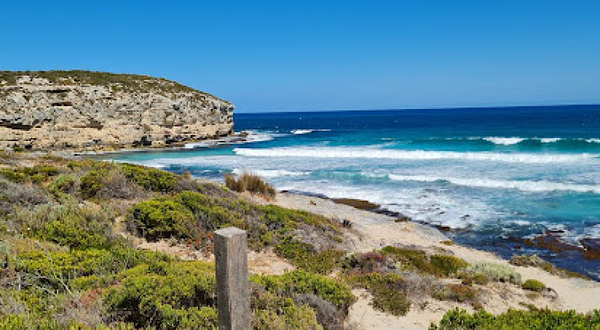 Pennington Bay Beach Access Path