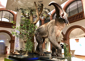 美因茨自然历史博物馆