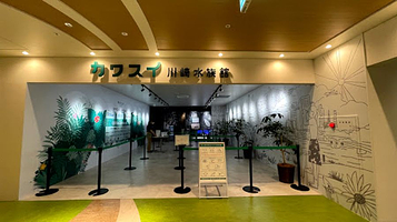 神奈川川崎水族馆