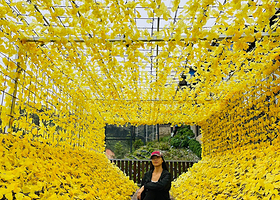 金马伦高原花卉公园