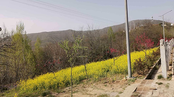 金锁关石林-花海区