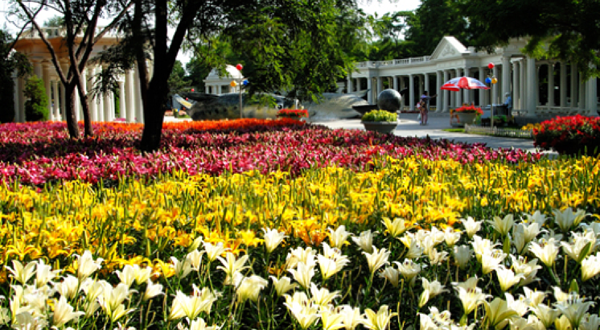 沈阳世博园-悠然花谷