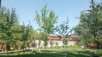 Jash Tilek Recreation