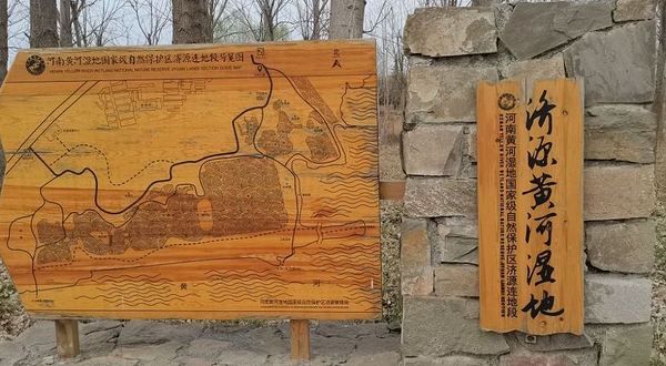 济源黄河湿地