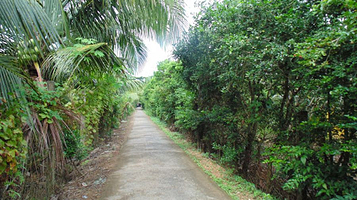 Khu du lịch Thới Sơn