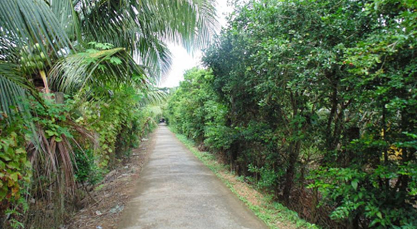 Khu du lịch Thới Sơn