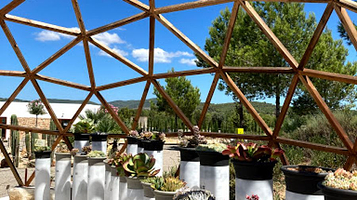 BIBO PARK Ibiza Botánico Biotecnológico