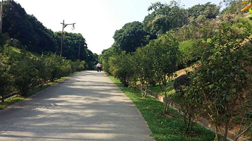 广州荔枝文化乐园