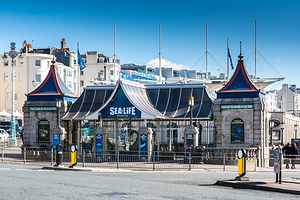 布莱顿海洋生物水族馆