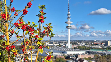 Hamburg Bunker St. Pauli