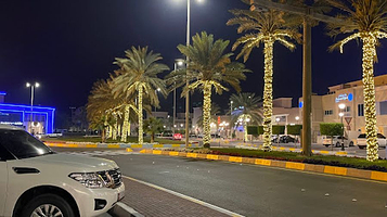 Presidential Palace view