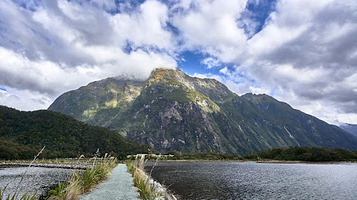 Milford Sound Swing