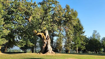 Fraser River Heritage Park