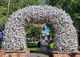 杰克逊鹿角公园