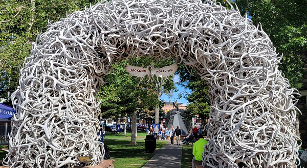 杰克逊鹿角公园