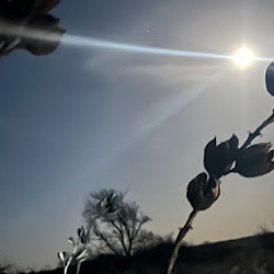 High Plains Hunts