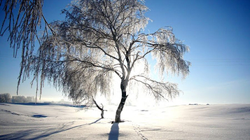 Ulytau Reserve-Museum