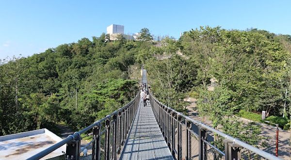 爱妓峰和平生态公园