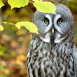 Krakow Zoo (Ogrod Zoologiczny)