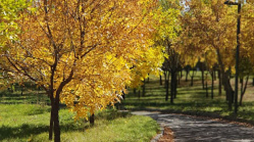Park Na Kereya I Zhanibeka