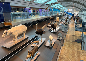 自然科学博物馆