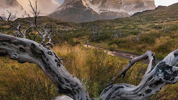 Asian Patagonia