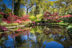 埃克斯伯里花园和蒸汽铁路