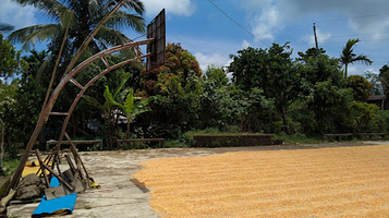 Libtong Sadit Palitada