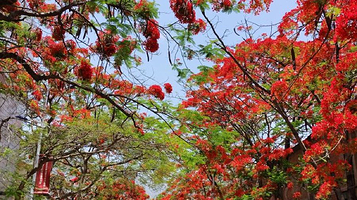 易门县绿汁坡观景台